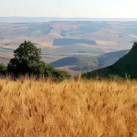 Casa San Vito * Irsina